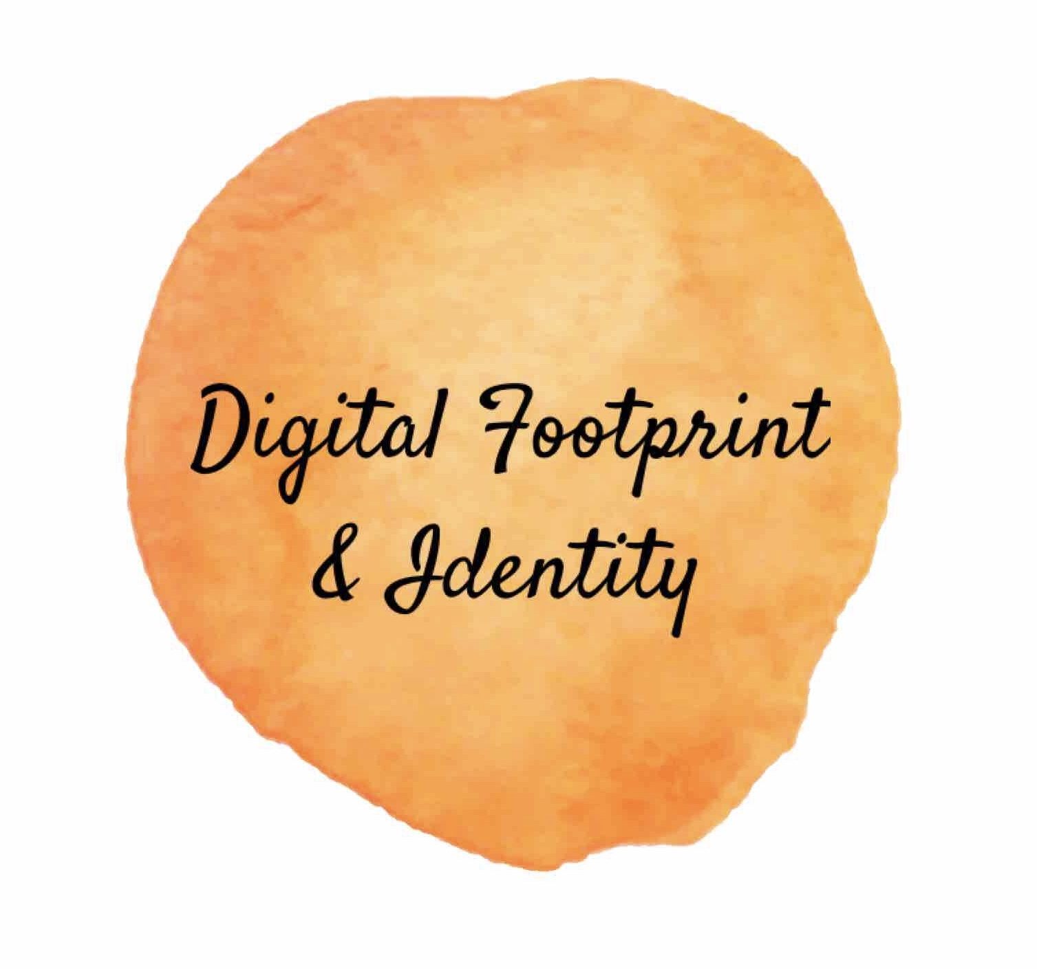 Dig Cit Digital Footprint and Identity